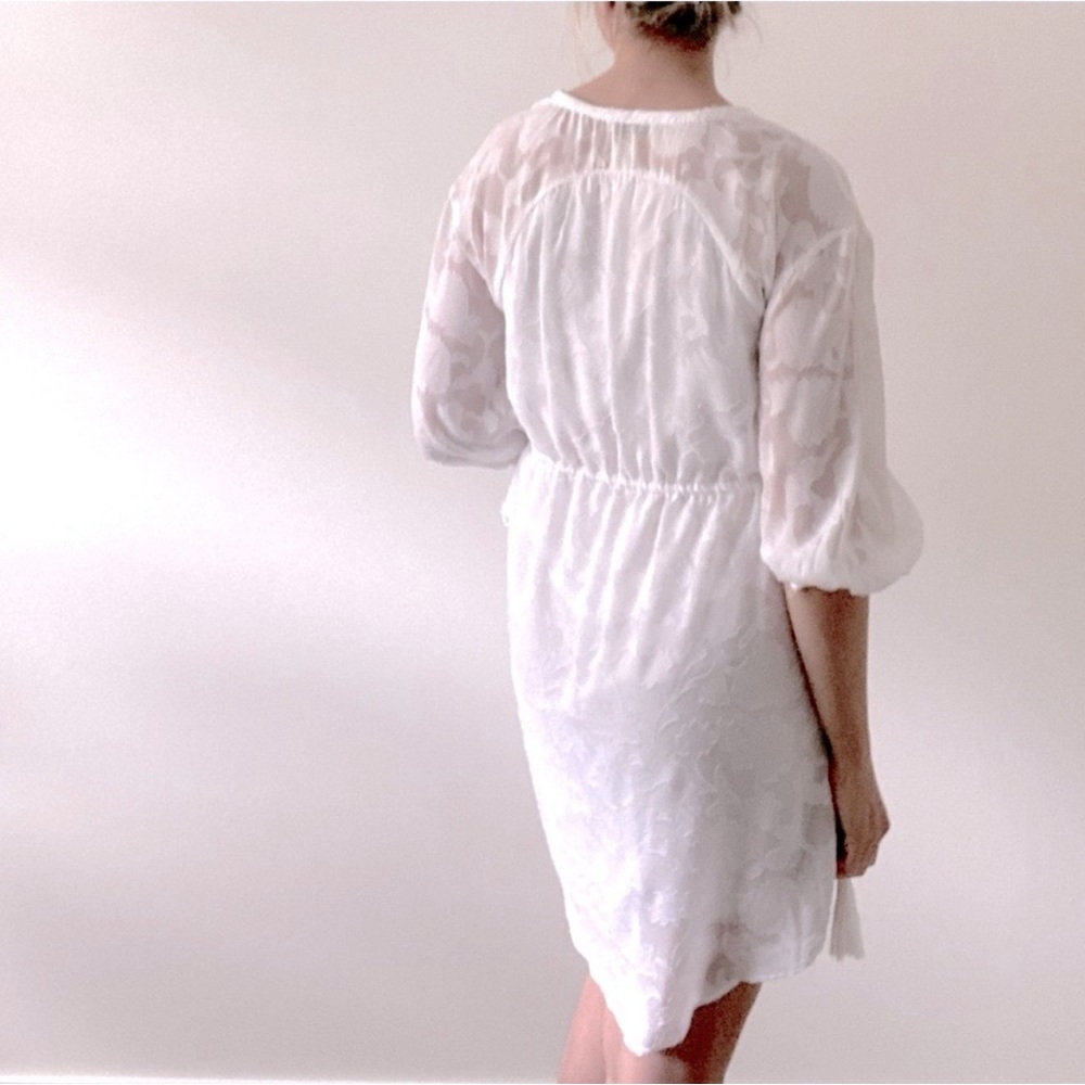 DEX- Sheer Floral Empire Waisted Dress - Picture 3 of 4